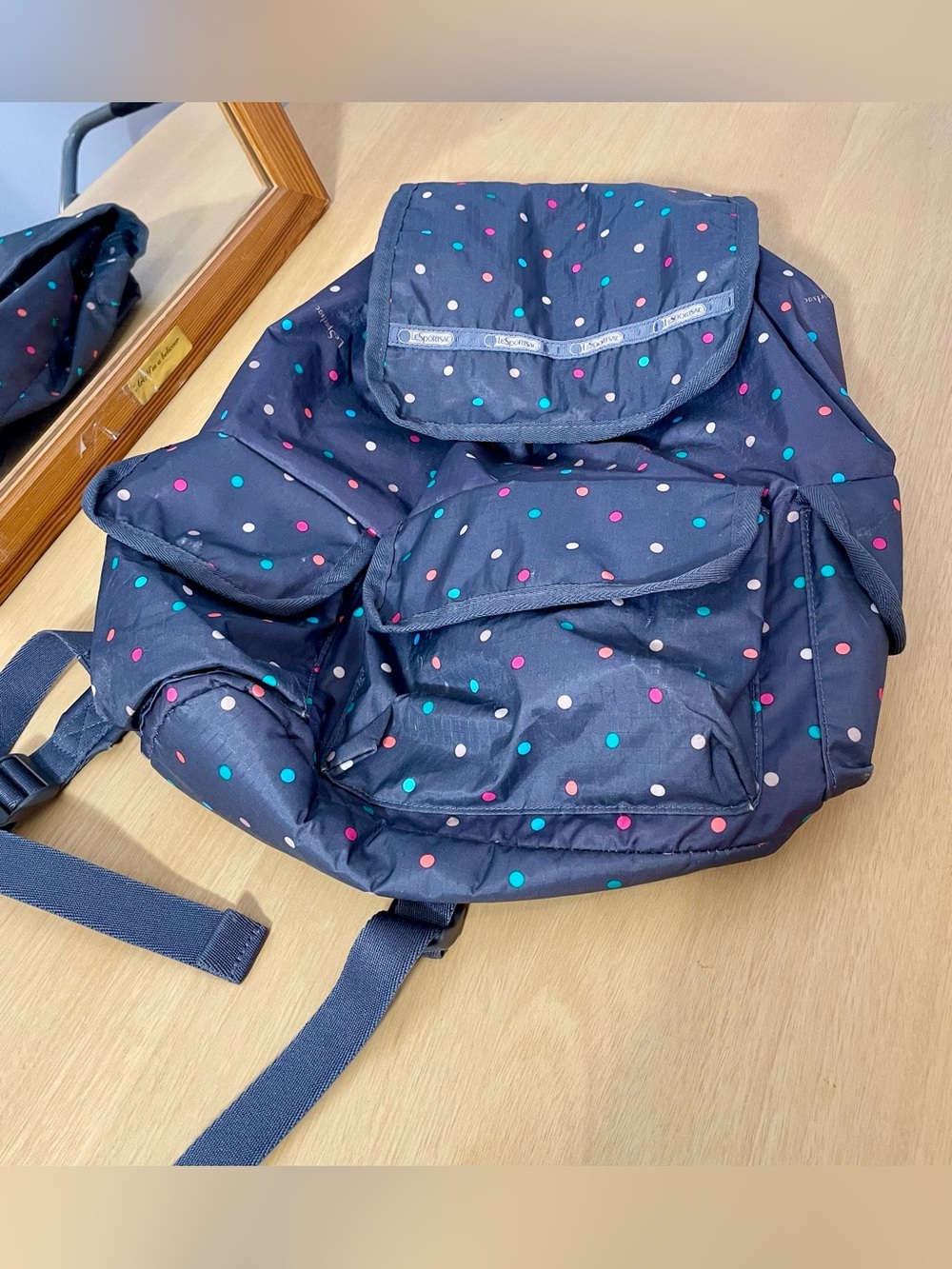 LeSportsac Gray with Multicolor Polka Dot Backpack